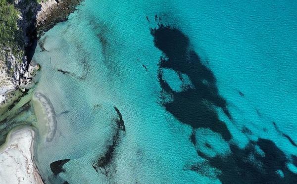 U tempu in Corsica
