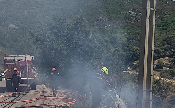Haute-Corse : deux incendies se déclarent à Olmeta-di-Tuda et Biguglia