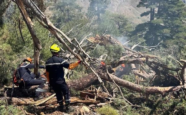 Casamaccioli : face au feu déclenché par la foudre, le remarquable engagement des pompiers commandos