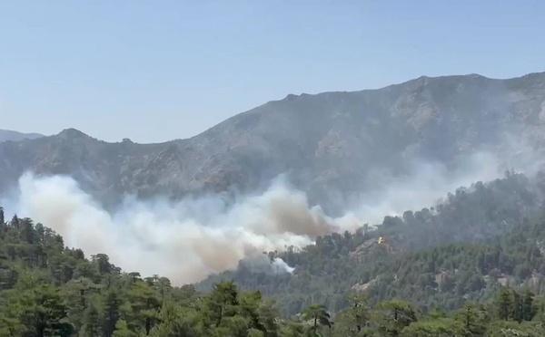 Les incendies restent actifs en Haute-Corse : 115 agents mobilisés, des renforts attendus du continent