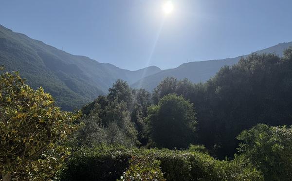 U tempu in Corsica