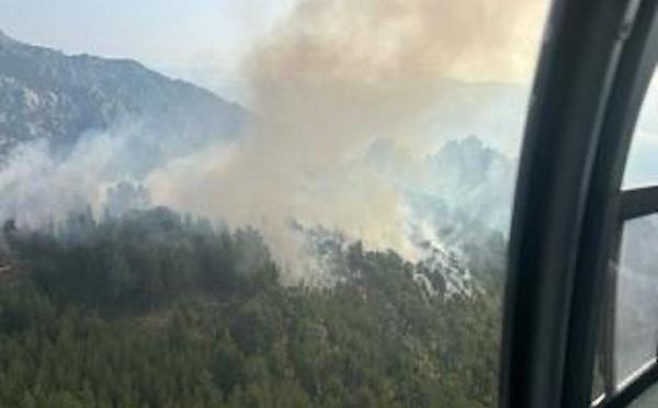 Incendies en Haute-Corse : les foyers d'Albertacce et de Corte sont loin d'être maîtrisés