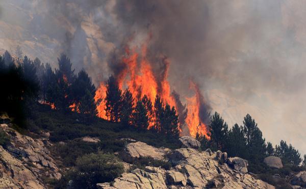 EN IMAGES - L'Incendie dans la Restonica progresse en direction de Grotelle