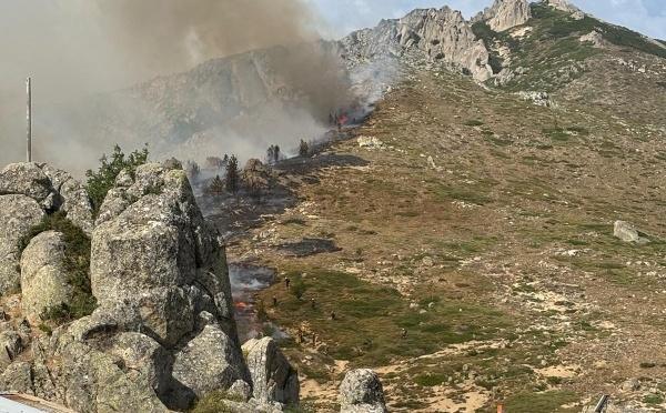 Incendie de la Restonica - L’inquiétude des bergers du plateau d’Alzu