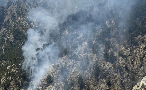Incendie d'Albertacce : le feu est désormais contenu, mais la surveillance se poursuit