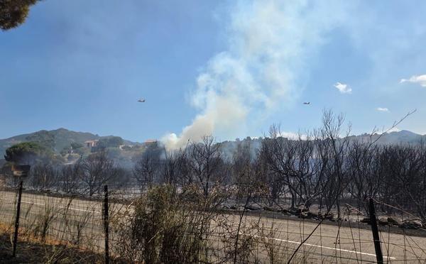 Patrimonio : Cinq à six hectares de maquis parcourus par les flammes