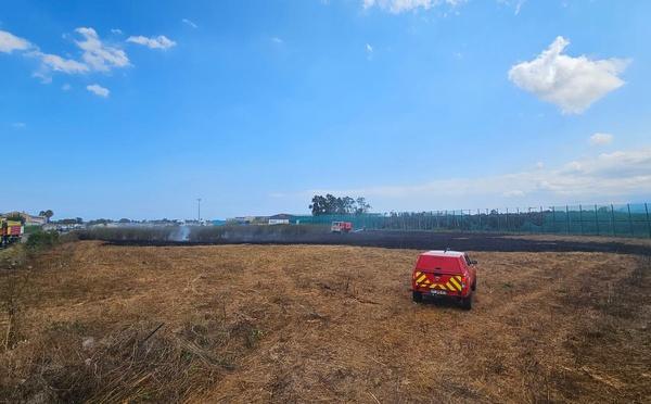 Lucciana - Un incendie parcourt 5 000 m2 près de l'aéroport