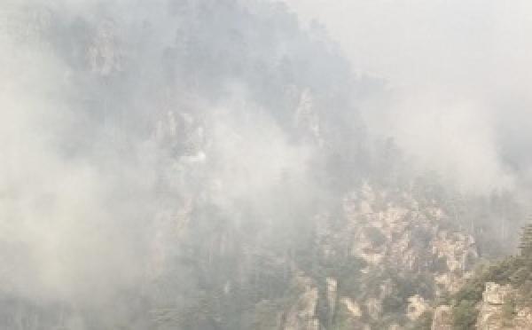 Incendies en Haute-Corse - Le feu fixé à Albertacce, plusieurs foyers toujours actifs à Corte