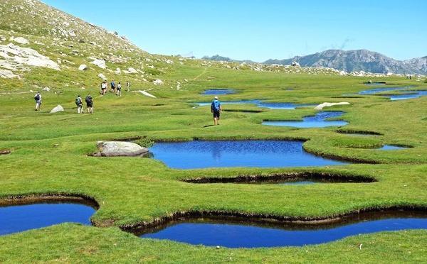 Les pozzines du Renoso vont bénéficier de 38 000 euros pour mieux concilier protection et fréquentation touristique