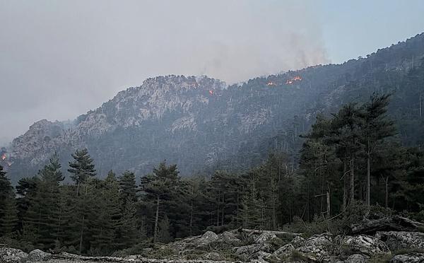 Restonica : le feu a parcouru 900 hectares