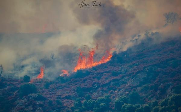 Incendie à Biguglia - 150 hectares parcourus, un important dispositif restera mobilisé toute la nuit