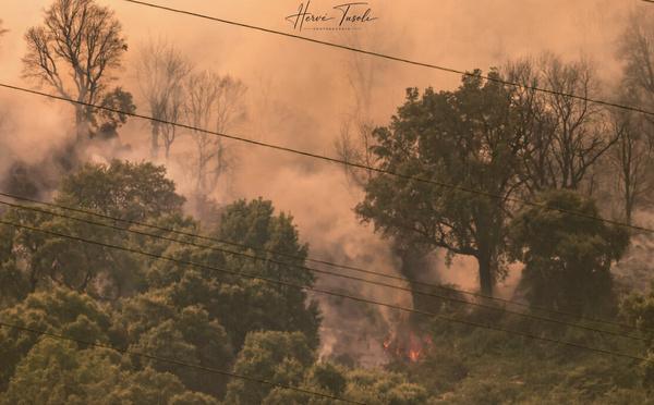 Incendies en Haute-Corse - Plus de 1 000 hectares parcourus à Biguglia et Corte