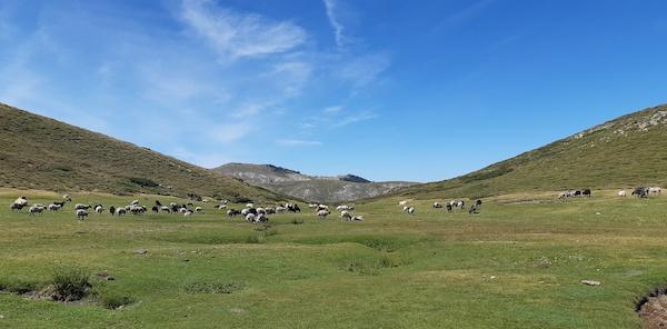 Comité de massif corse : Lutter contre la spéculation et favoriser les territoires de montagne