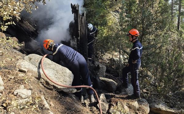 Incendies en Haute-Corse - Les pompiers interviennent, aussi, à Mansu et à Ghisonaccia