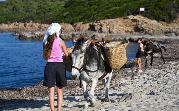 À Capo di Feno, Murone et Pepito au service de la propreté du littoral