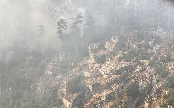 Une reprise de feu dans la vallée du Tavignanu entraîne la fermeture du Mare a Mare Nord au départ de Corte