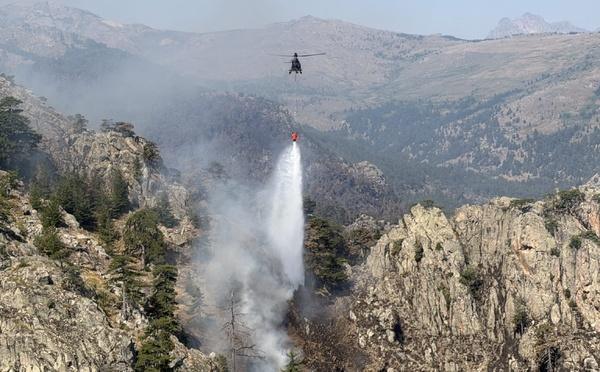 À Corte, une reprise virulente de l'incendie mobilise près de 80 sapeurs-pompiers dans le Tavignanu