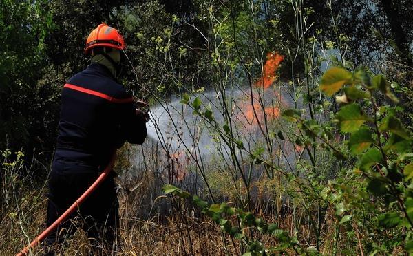 Corte - Le feu crée la panique dans le lotissement « Les Oliviers »
