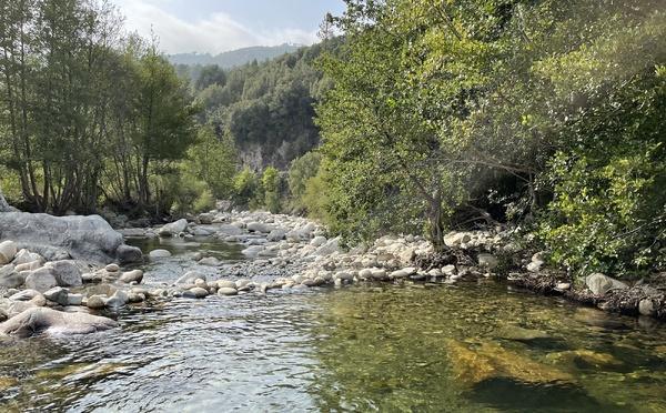 U tempu in Corsica