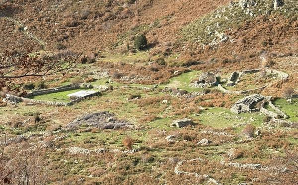A màghjina - Induve campa a memoria di i pastori