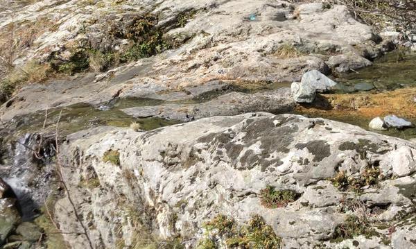 Corse-du-Sud - Renforcement des restrictions d’usage de l’eau. Sari-Solenzara en alerte renforcée