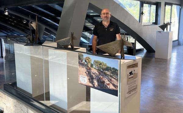 En Corse, la transhumance s’invite dans l’art contemporain