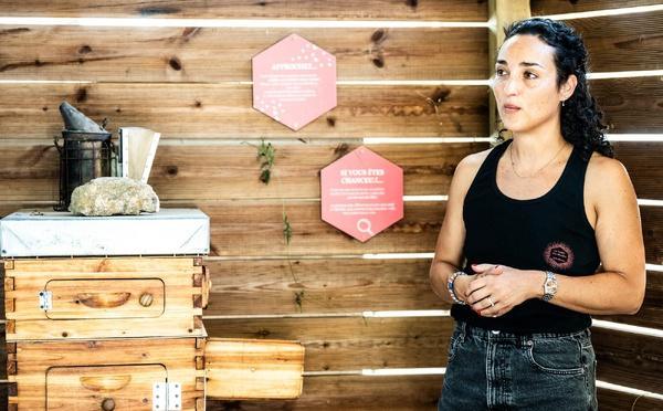 À Ocana, les abeilles au rythme d’une nature bouleversée