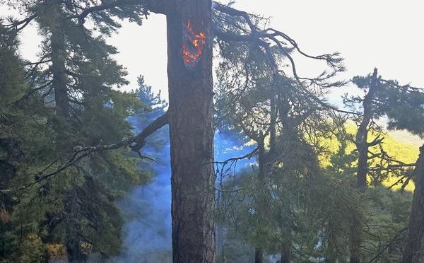 Haute-Corse : plusieurs feux encore sous surveillance