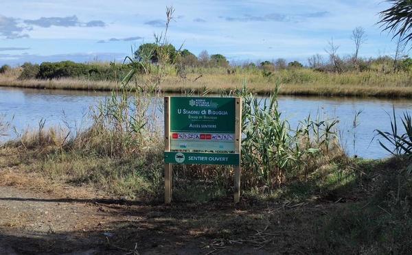 Un nouveau plan pour encadrer la circulation dans la réserve naturelle de l’étang de Biguglia