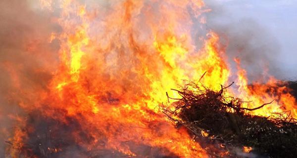 Aleria : un incendie parcourt 3,5 hectares à Teppe Rosse