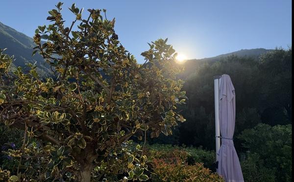 U tempu in Corsica