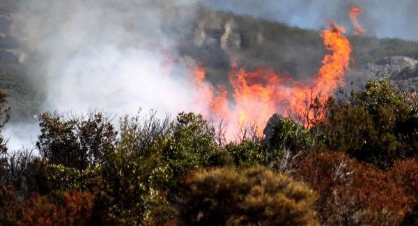 Deux incendies mobilisent les pompiers Ă Erbajolo et Zilia