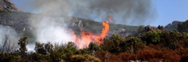 Incendies en Haute-Corse : 55 hectares parcourus à Erbajolo et Tallone