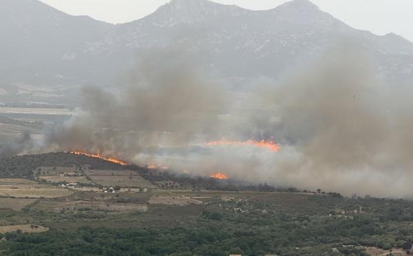 Haute-Corse : un incendie attisé par le vent menace des habitations à Calenzana