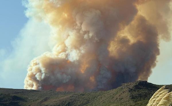 Incendie à Cagnanu : une centaine d’hectares parcourus
