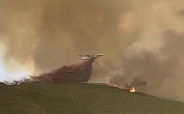 Cagnanu - Le feu fixé après avoir parcouru 109 hectares