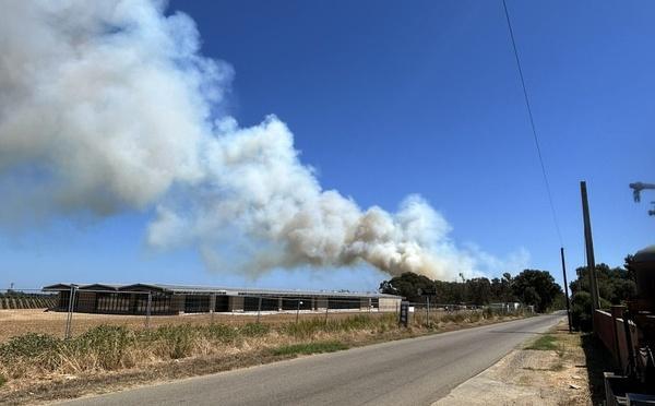 Aleria : un incendie se déclare au lieu-dit Mavela, plus de 30 hectares déjà parcourus