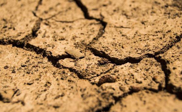 Sécheresse en Haute-Corse : les restrictions d'eau renforcées en Plaine orientale