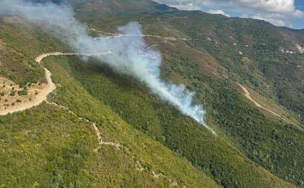 Erbaghjolu : deux départs de feu en quelques minutes 