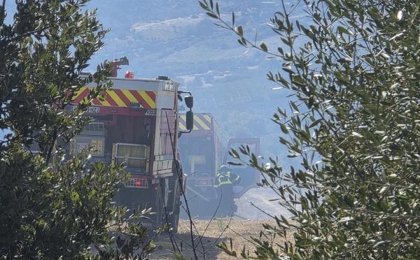 Incendie à Oletta : un hectare brûlé près du lac de Padula