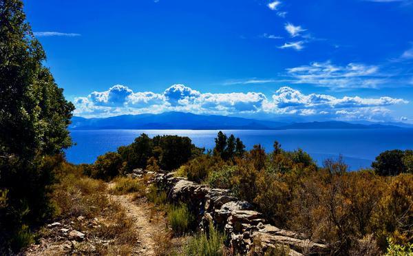 A màghjina - In a machja di Canari, a strada di u mare