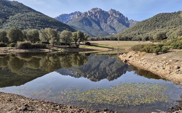 U tempu in Corsica