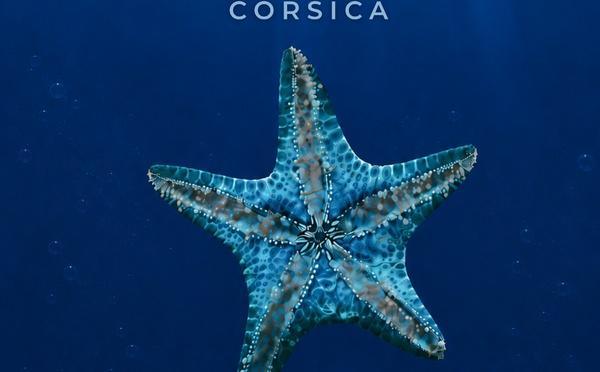 Le Forum interculturel des îles fait escale à Porto-Vecchio les 8 et 9 octobre