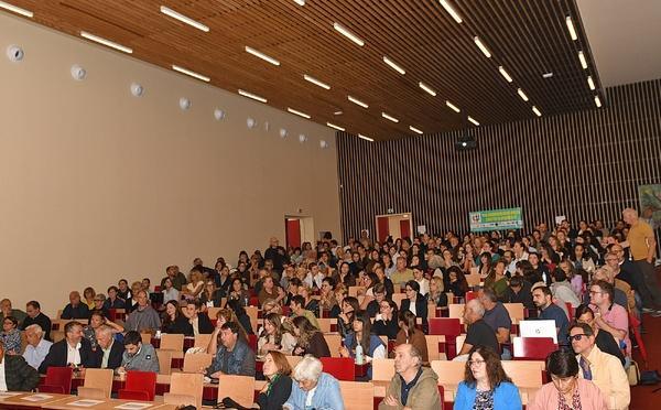 Logement social en Corse : face au manque, la CLE veut ouvrir la voie aux solutions