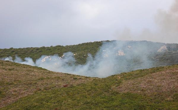 Meria – Un incendie parcourt jusqu'à 30 hectares