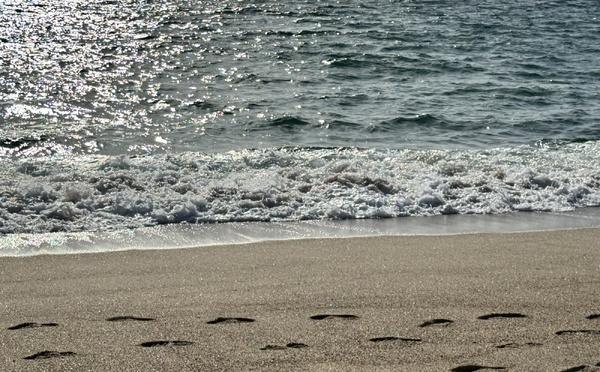 U tempu in Corsica