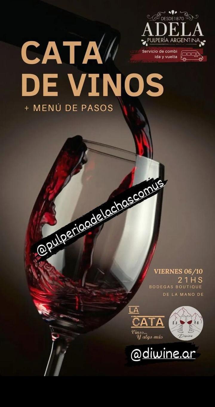 CATA DE VINO + Menú de pasos