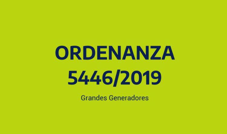 ORD. 5446/2019 Grandes Generadores + Anexo