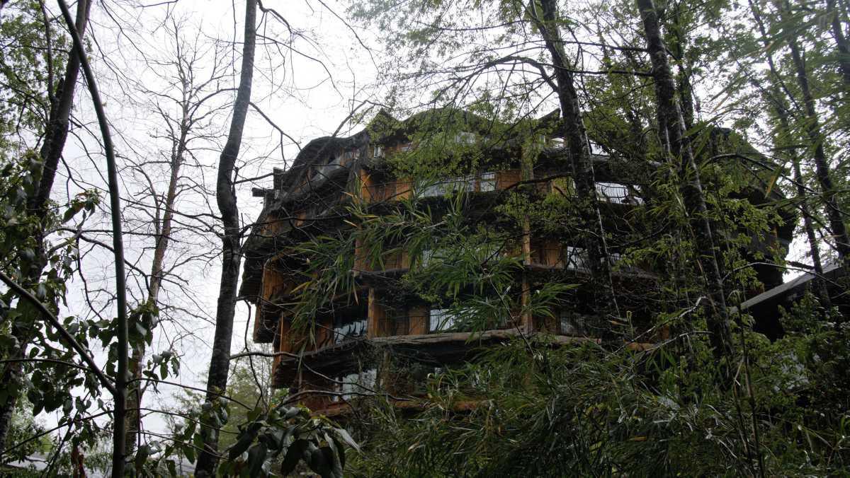 [Focus] - Hôtels insolites ecofriendly au coeur de la réserve naturelle Huilo Huilo au Chili 