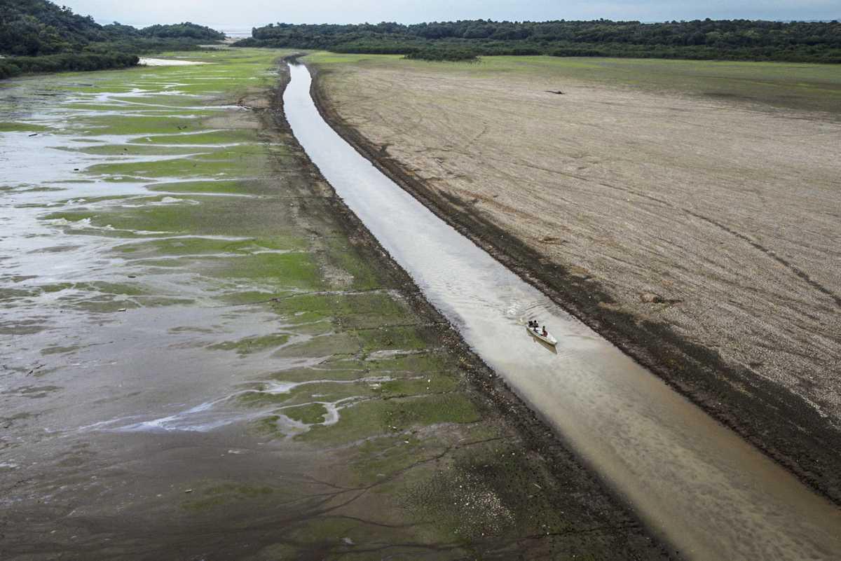 [Focus] - Brésil : La sécheresse amène le fleuve Amazone à des niveaux d'eau minimaux 
